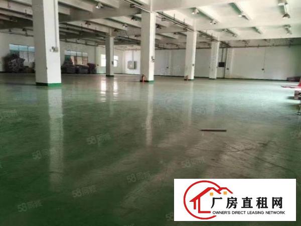  横沥镇原房东实际面积出独院6500平，形象好，有独立办公楼