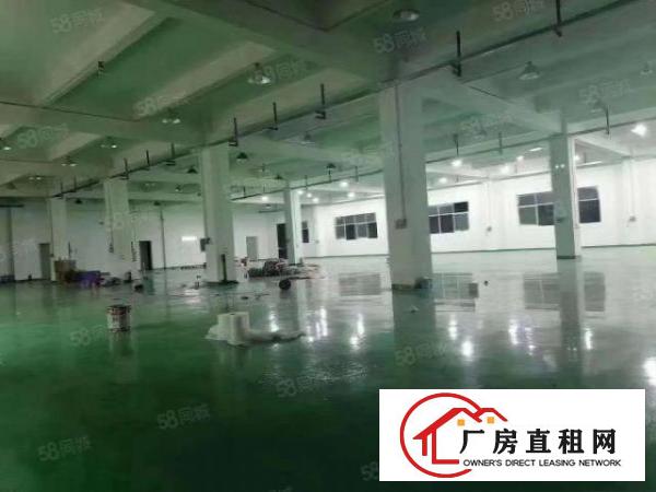  横沥镇原房东实际面积出独院6500平，形象好，有独立办公楼