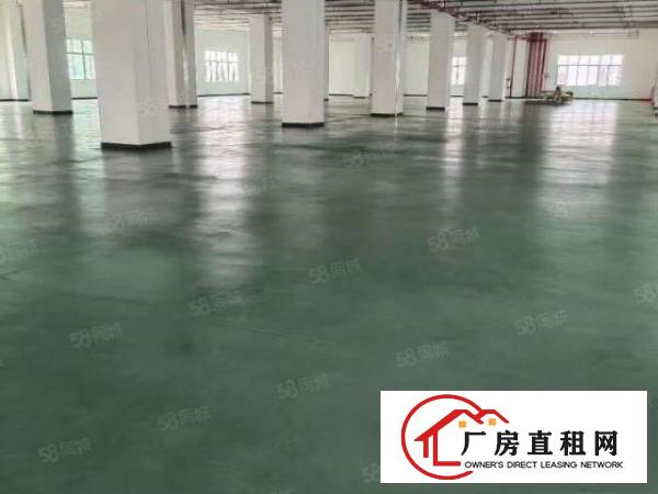  原房东地坪漆横沥西城工业区花园式独院厂房总面积13000平方