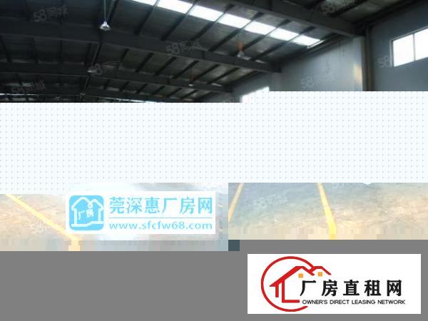  横沥原房东独院单一层厂房3200平方出租空地大