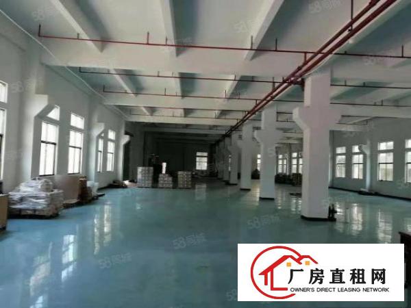  原房东独院厂房低价出租