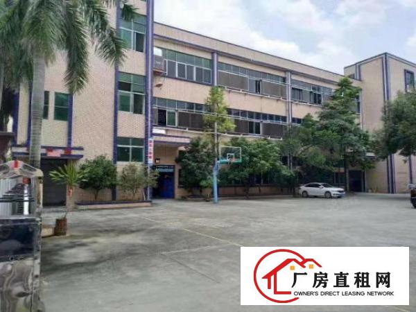  原房东独院厂房低价出租