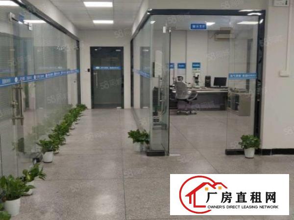  原房东独院厂房低价出租