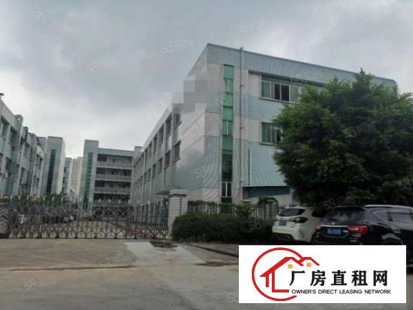  横沥镇三江工业区新出一楼带牛角及办公室标准厂房