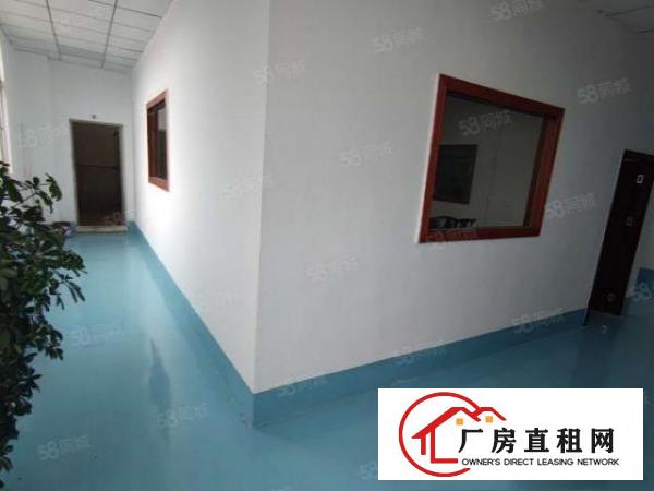  厂房出租！新出原房东办公室厂房全新装修水电到位形象好，价格低