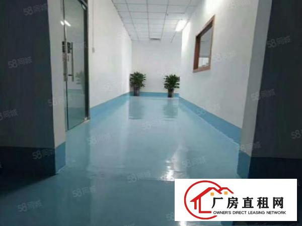  厂房出租！新出原房东办公室厂房全新装修水电到位形象好，价格低