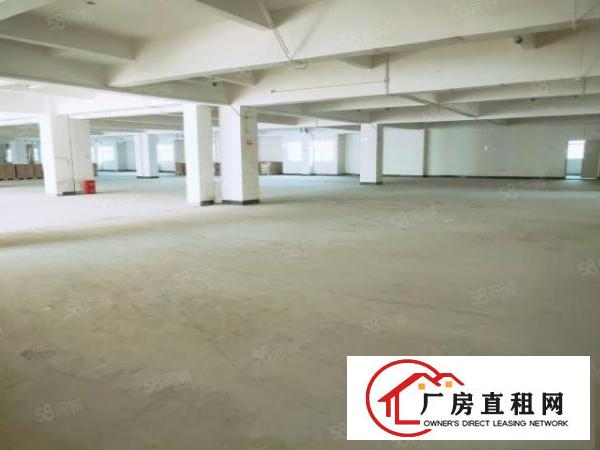  带房产证横沥一楼厂房2000平3000平可办环评消防合格