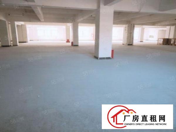  带房产证横沥一楼厂房2000平3000平可办环评消防合格