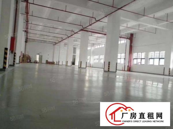  证件齐全，带环评横沥镇新出独院标准厂房1000平方出租