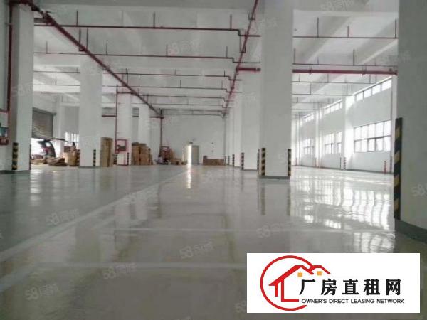  证件齐全，带环评横沥镇新出独院标准厂房1000平方出租