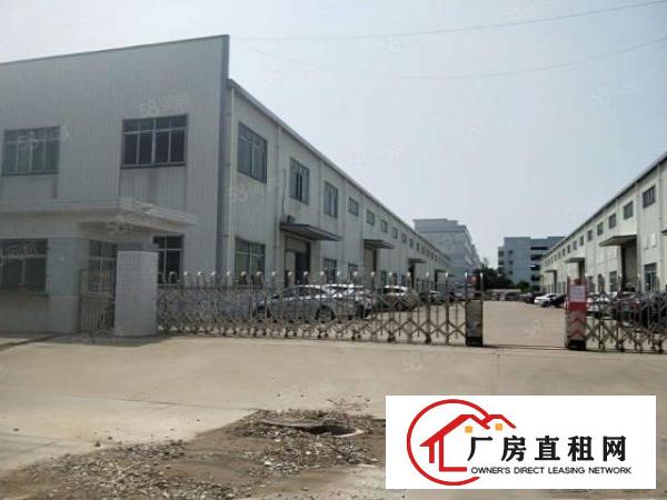  村头工业区单一层钢构1000平方出租（实际面积无公摊）