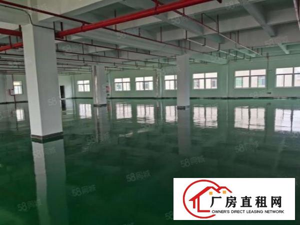  横沥镇西城工业区楼上厂房1500平招租，可办环评