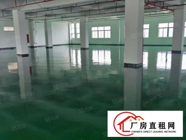  横沥镇西城工业区楼上厂房1500平招租，可办环评