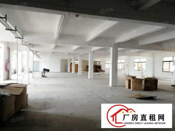  横枥山厦原房东独院厂房4650平招租精装办公室水电齐全