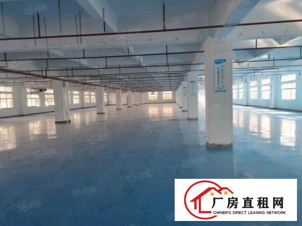  横沥镇工业集中区原房东独门独院标准厂房证件齐全能办环评