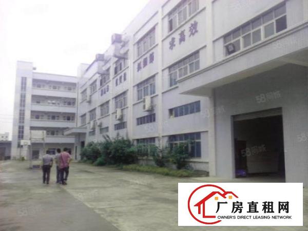  标准厂房分租楼上1200平方米带现成装修