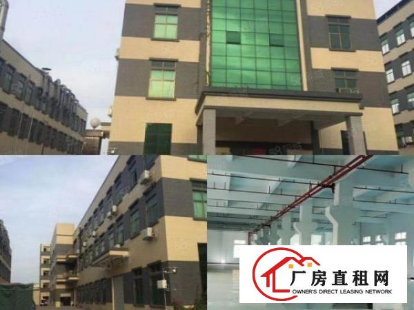  东部快速边标准独院出租可申请VOC排放指标总面积7300可分