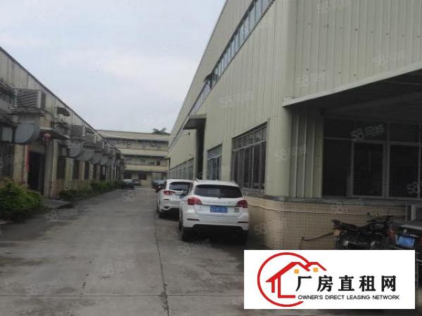  横沥东兴工业区单一层独院厂房1200平方招租，滴水8米