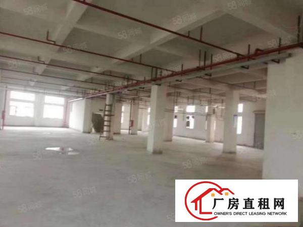  厂房出租横沥工业区单层厂房独门独院空地大好停车可做仓库
