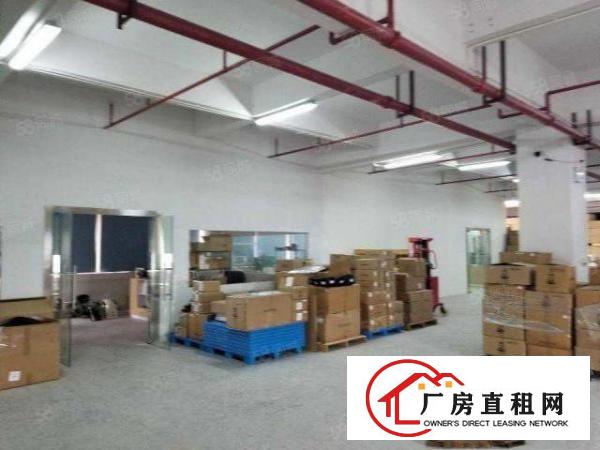  厂房出租横沥工业区单层厂房独门独院空地大好停车可做仓库