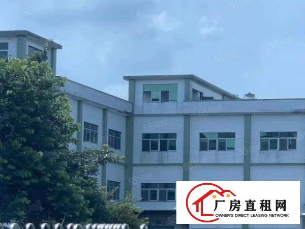  厂房出租横沥工业区单层厂房独门独院空地大好停车可做仓库