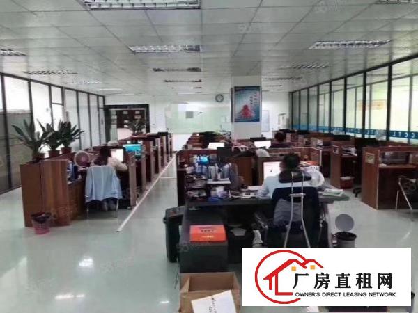  横沥镇原房东三层独门独院标准厂房形象带现成装修