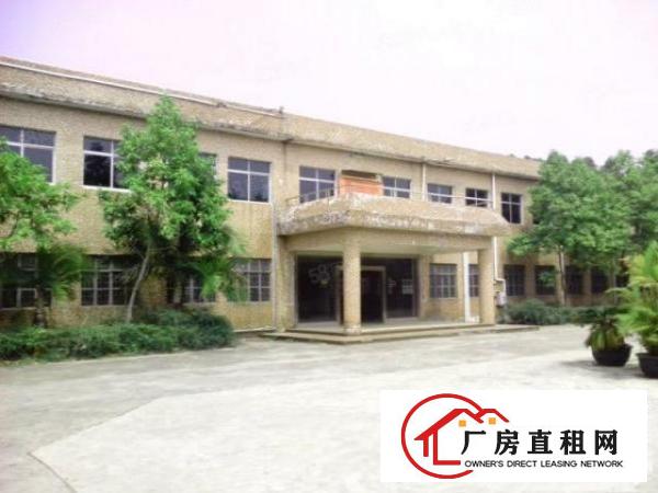 东莞标准一楼厂房分租1100平方米