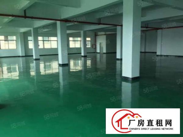  厂房出租横沥镇新出原房东独门独院精装修厂房水电齐全入住可生产