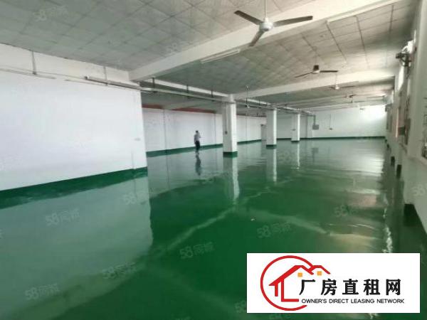  厂房出租横沥镇新出原房东独门独院精装修厂房水电齐全入住可生产
