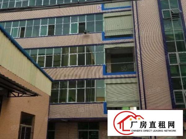  厂房出租横沥镇新出原房东独门独院精装修厂房水电齐全入住可生产