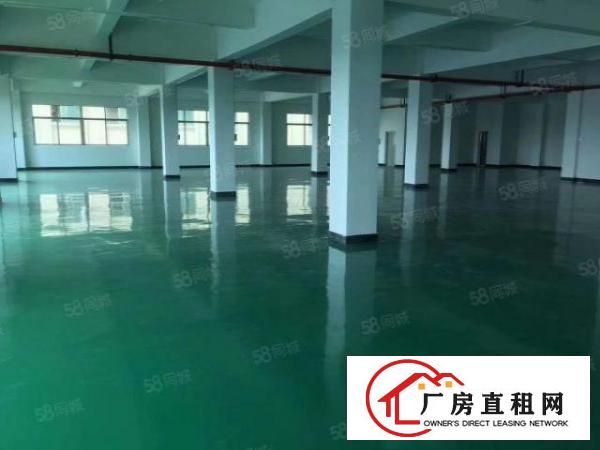  厂房出租横沥镇新出原房东独门独院精装修厂房水电齐全入住可生产