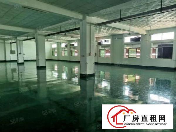  厂房出租横沥镇新出原房东独门独院精装修厂房水电齐全入住可生产