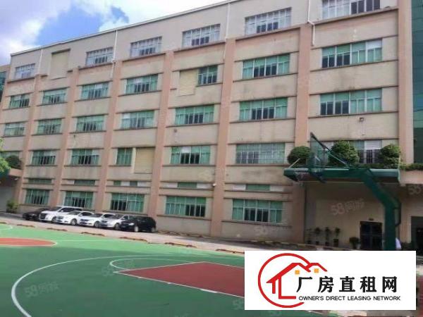  横沥新出一楼1500平方厂房，现成装修，价格便宜