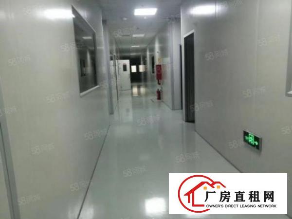  横沥新出一楼1500平方厂房，现成装修，价格便宜