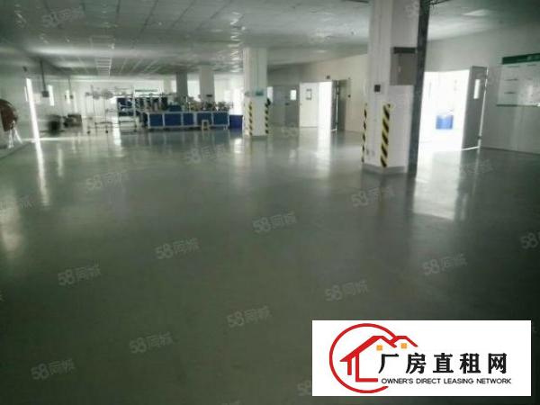  横沥新出一楼1500平方厂房，现成装修，价格便宜