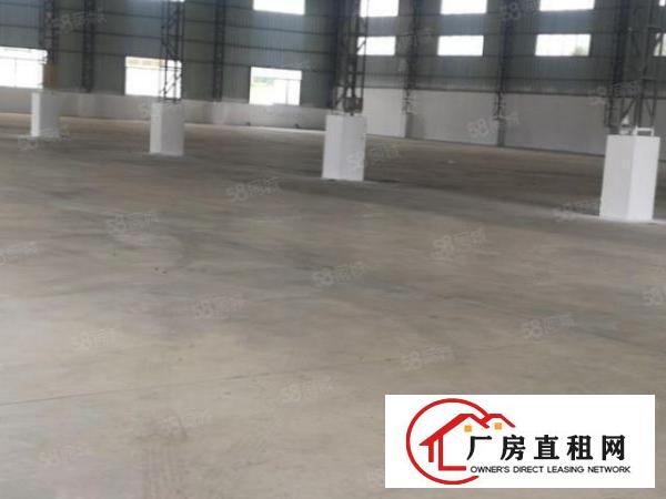  横沥新出独门独院单一层自建厂房1600平方两栋，面积实量。