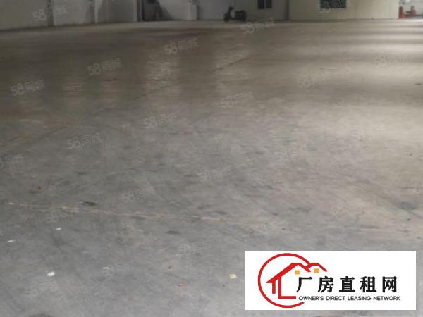  横沥新出独门独院单一层自建厂房1600平方两栋，面积实量。