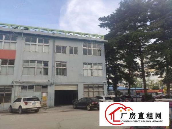  横沥镇山厦工业区原房东出租标准厂房一楼300平带航车和办公室