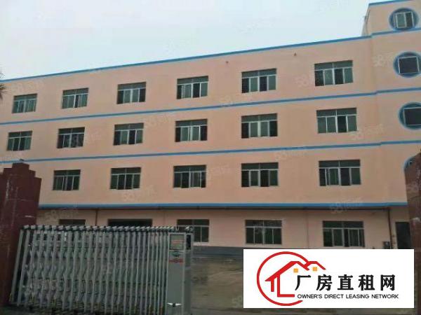  横沥镇原房东独门独院标准四层厂房8500平方招租
