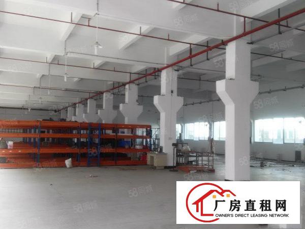  横沥三江工业区标准独院厂房带现成装修出租