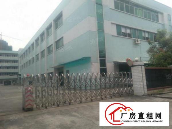 横沥三江工业区标准独院厂房带现成装修出租