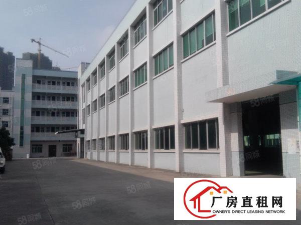 横沥三江工业区标准独院厂房带现成装修出租