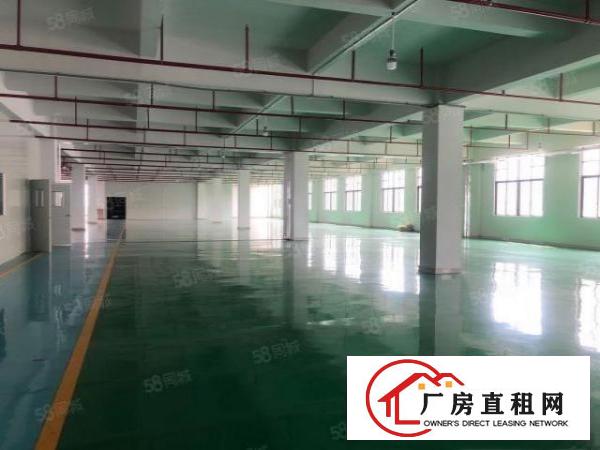  急租横沥镇三江工业区新出原房东独院标准8500平方厂房出租