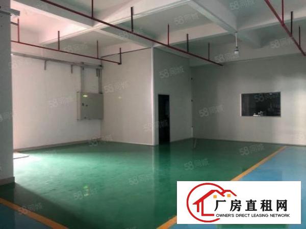  急租横沥镇三江工业区新出原房东独院标准8500平方厂房出租