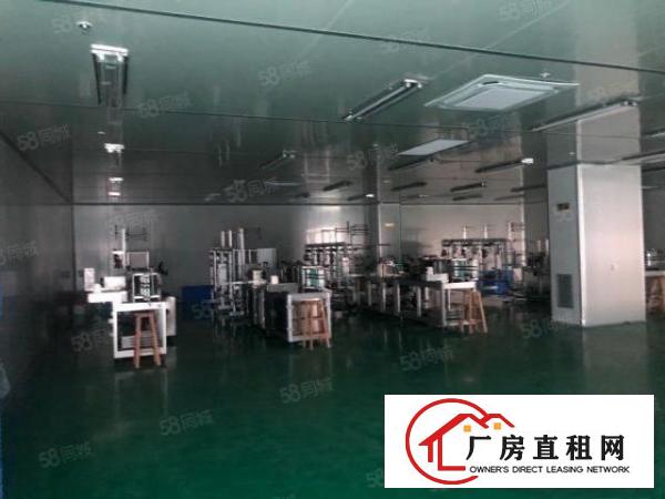  急租横沥镇三江工业区新出原房东独院标准8500平方厂房出租