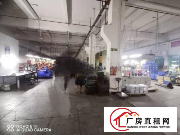  横沥镇原房东新出独门独院工业厂房招租voc排放指标可办环评