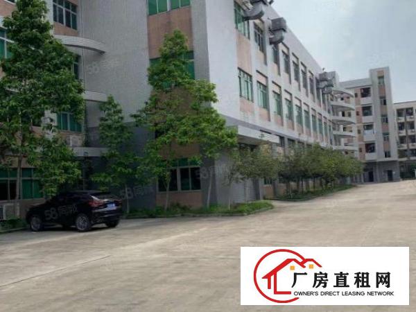  横沥镇原房东新出独门独院工业厂房招租voc排放指标可办环评