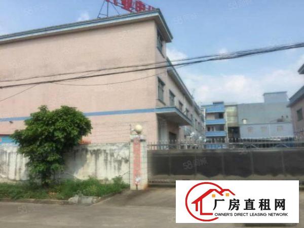  标准独门独院厂房两层2600600带装修急租