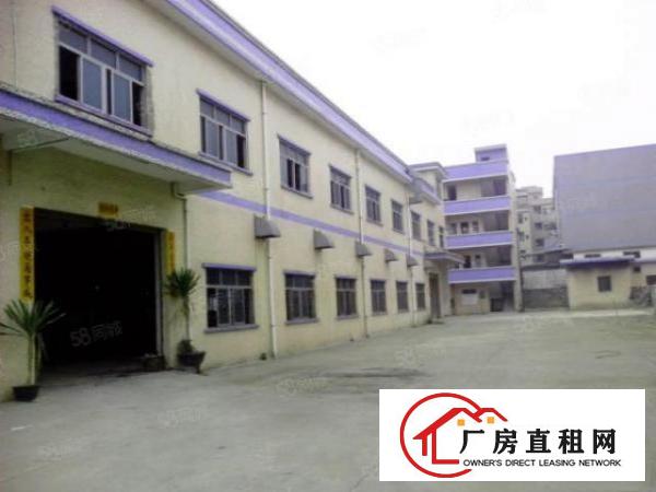  标准独门独院厂房两层2600600带装修急租