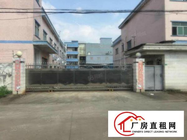  标准独门独院厂房两层2600600带装修急租